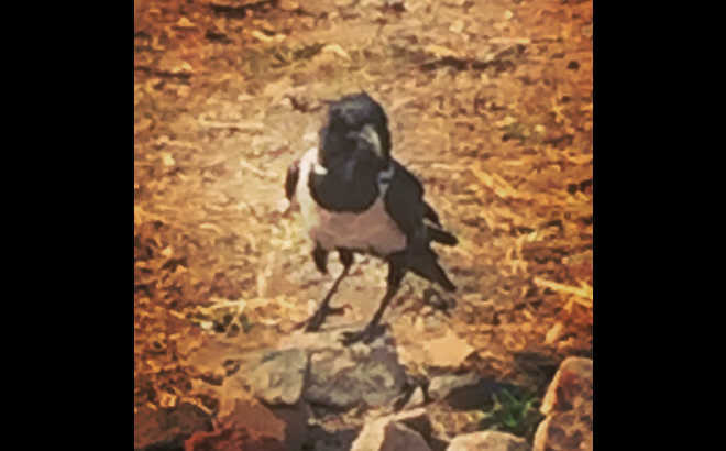 20170311_1660904.jpg